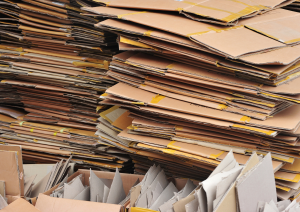 Paper in Bulk